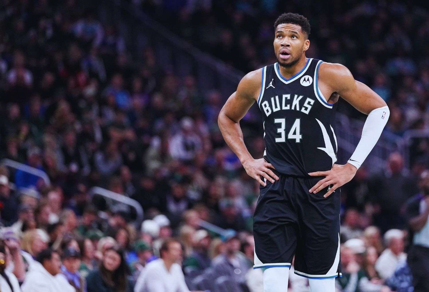 Giannis Antetokounmpo Heat