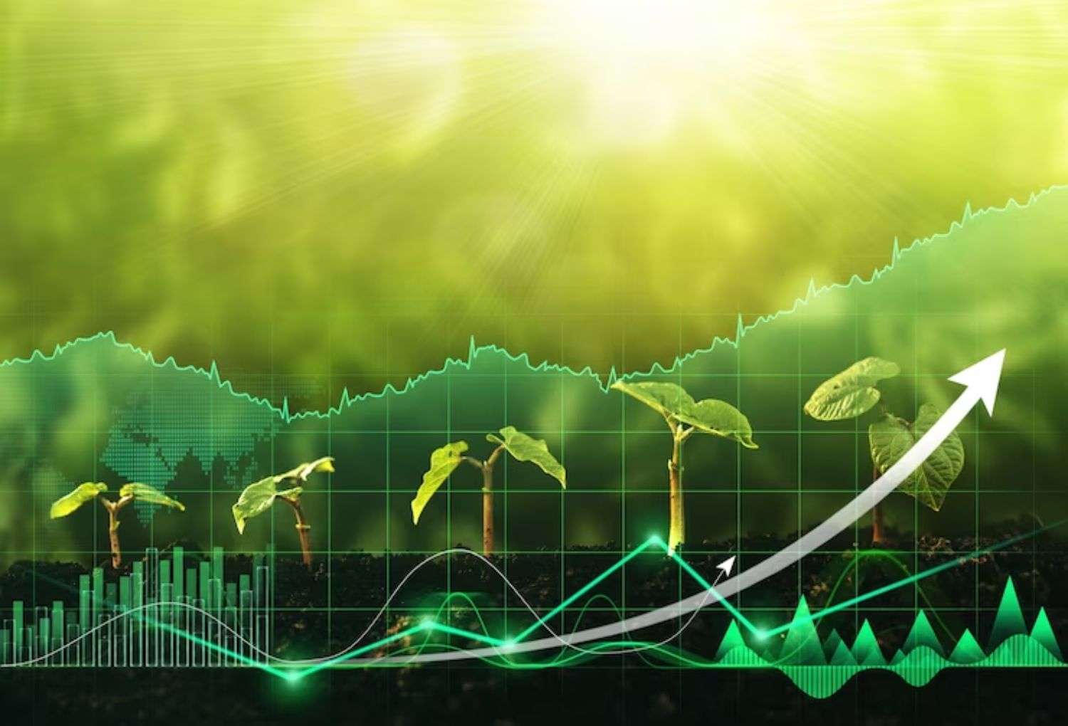 Segofinance