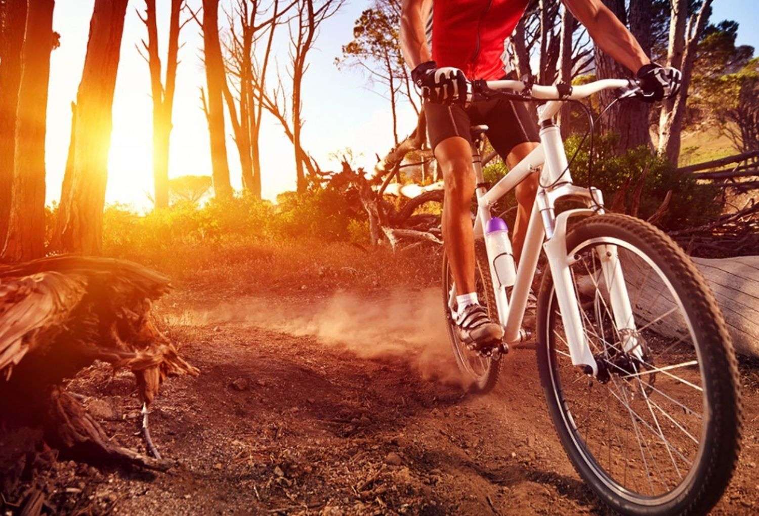 Ciclismo Montaña