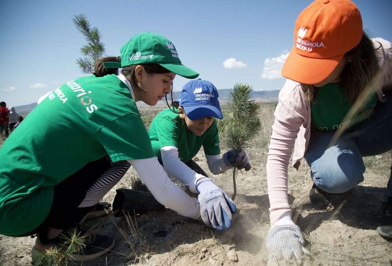 Iberdrola
