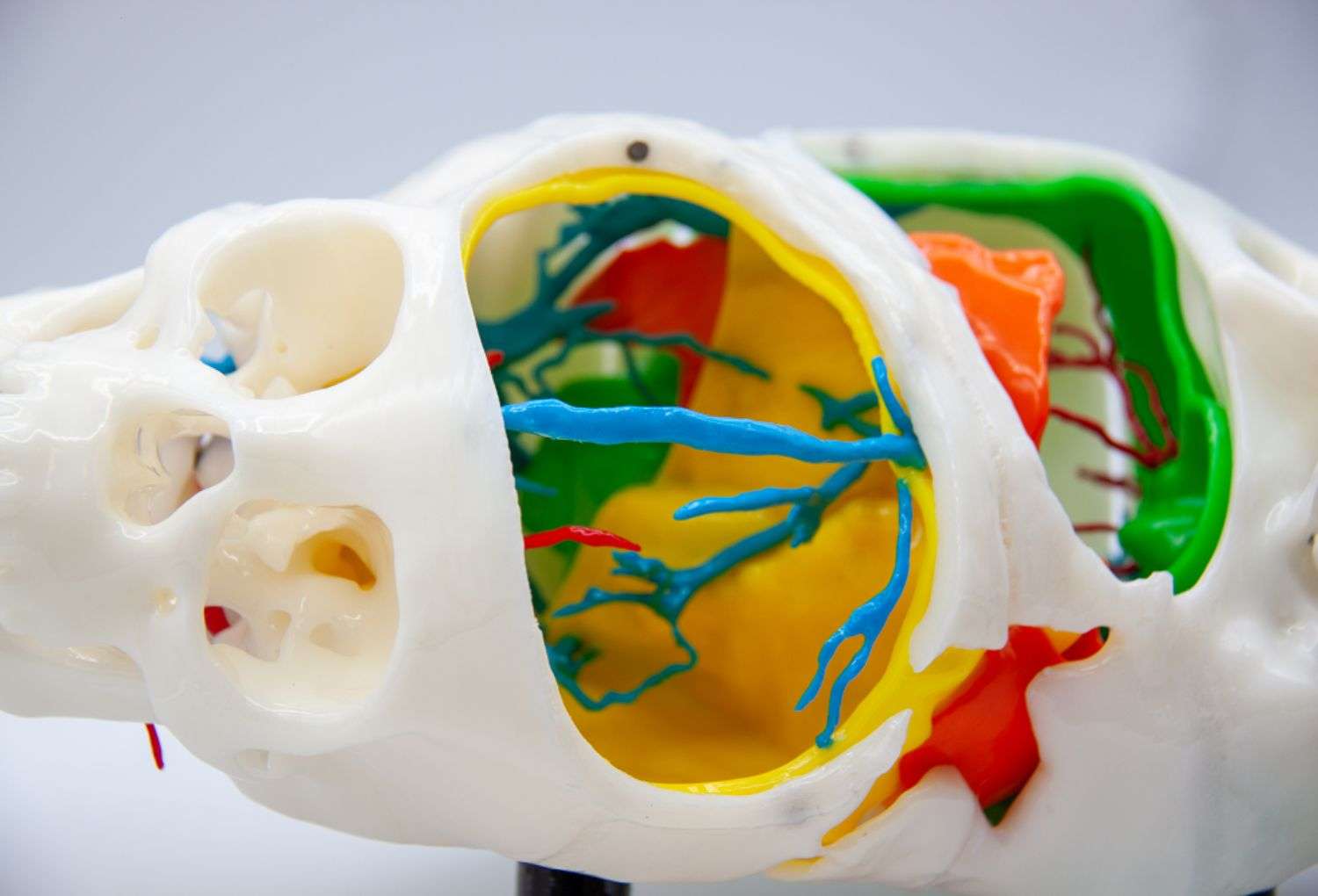 Tecnología 3D