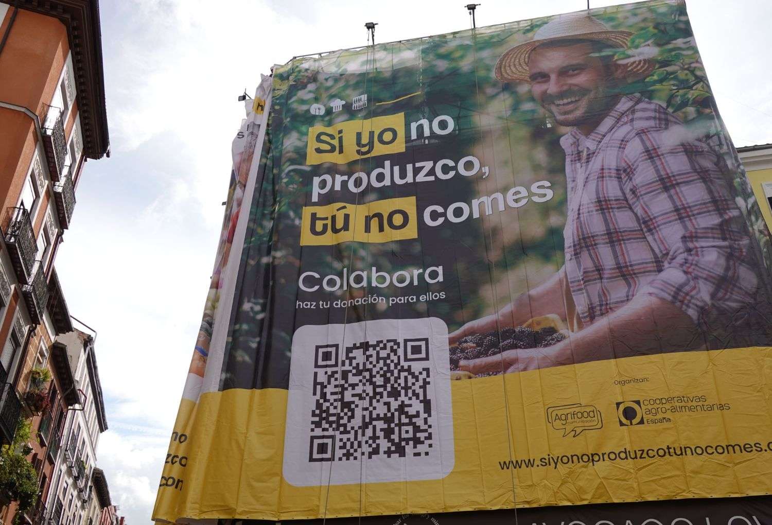 Alimentación