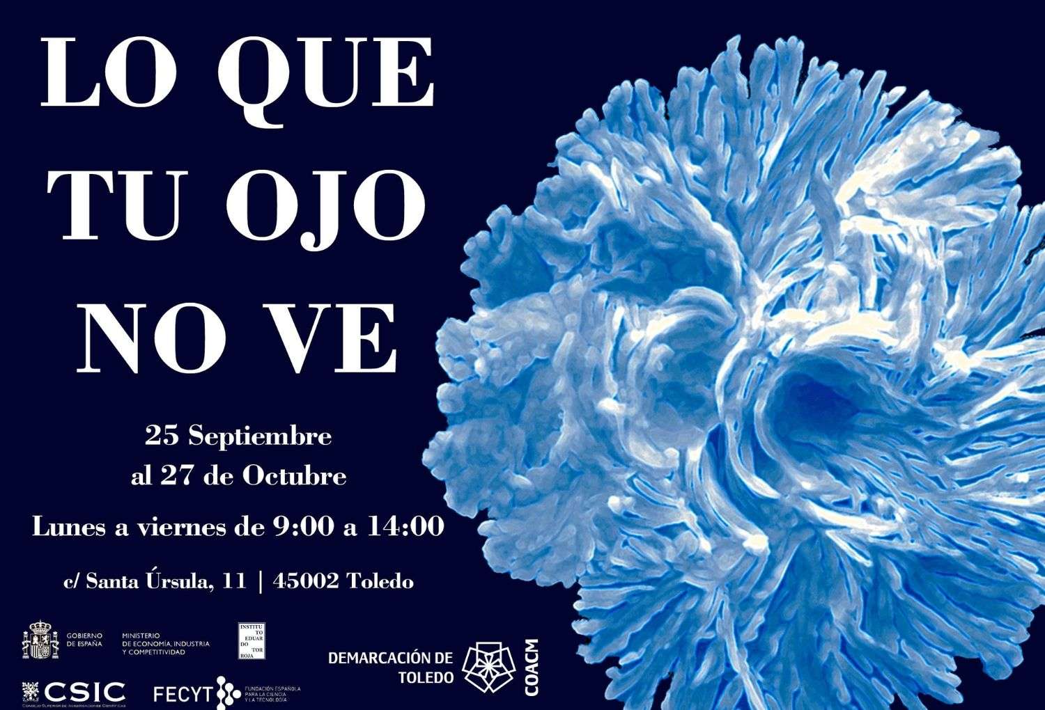 Exposición