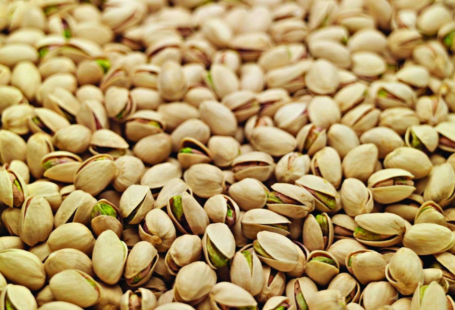 Frutos secos