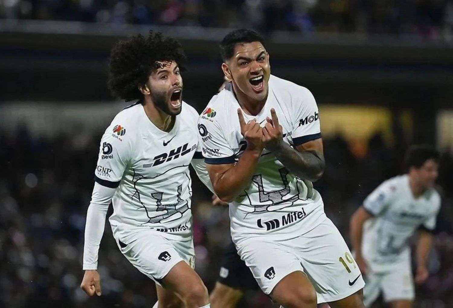 Pumas