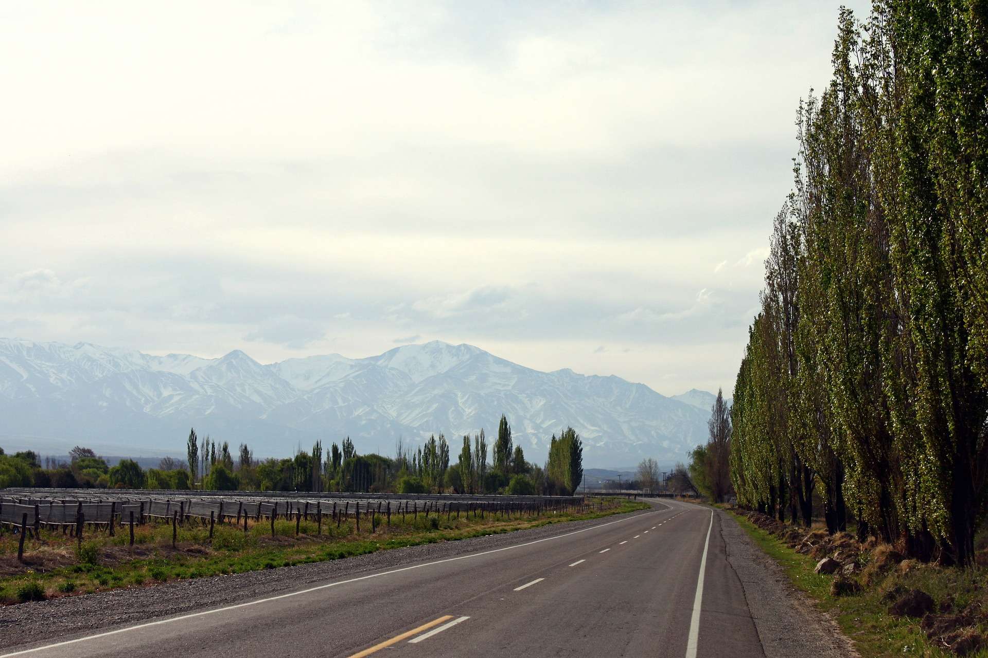 Mendoza, Argentina