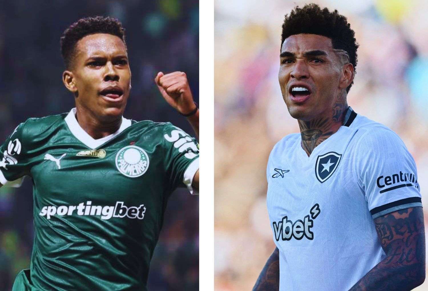 Palmeiras vs Botafogo