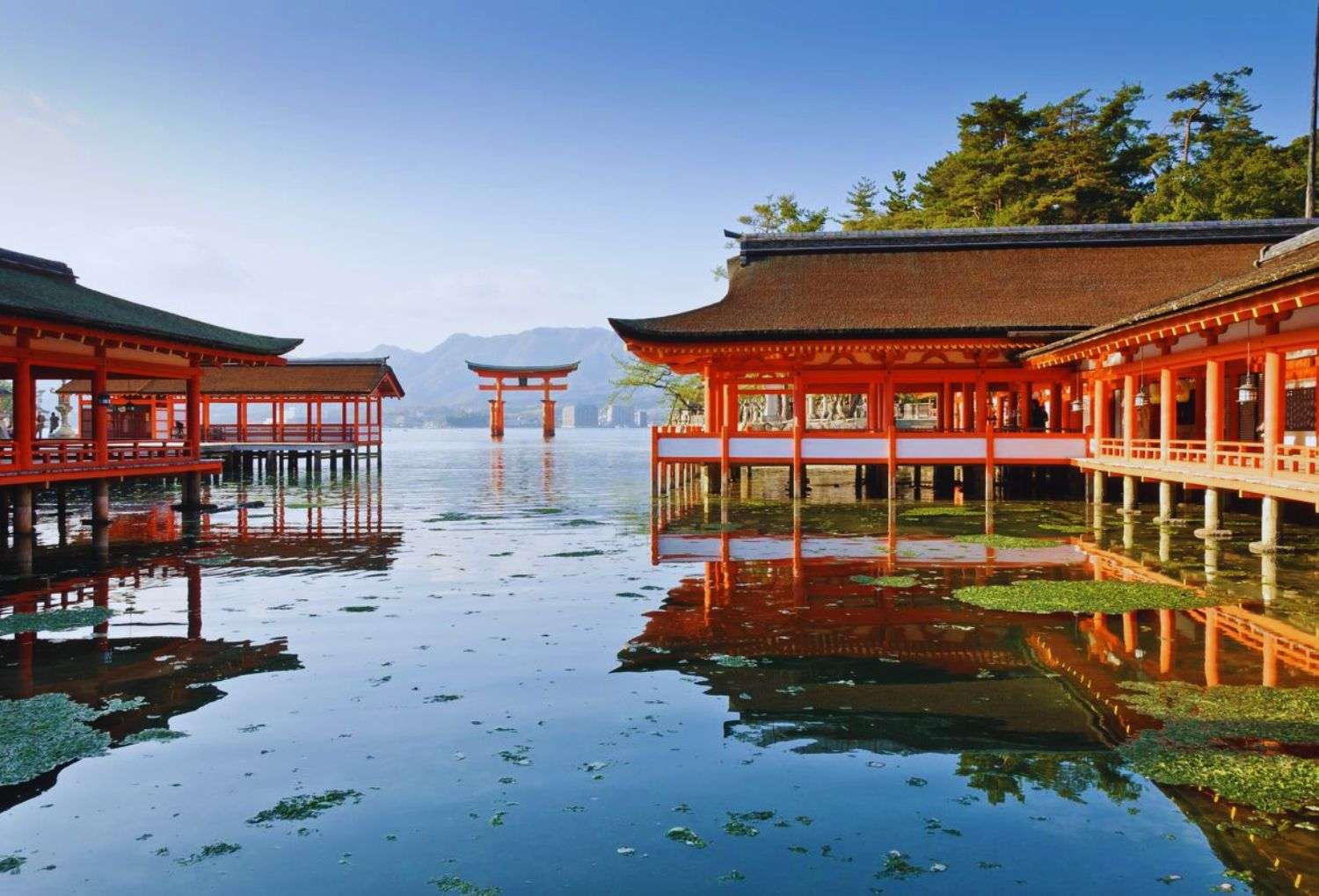 Japón