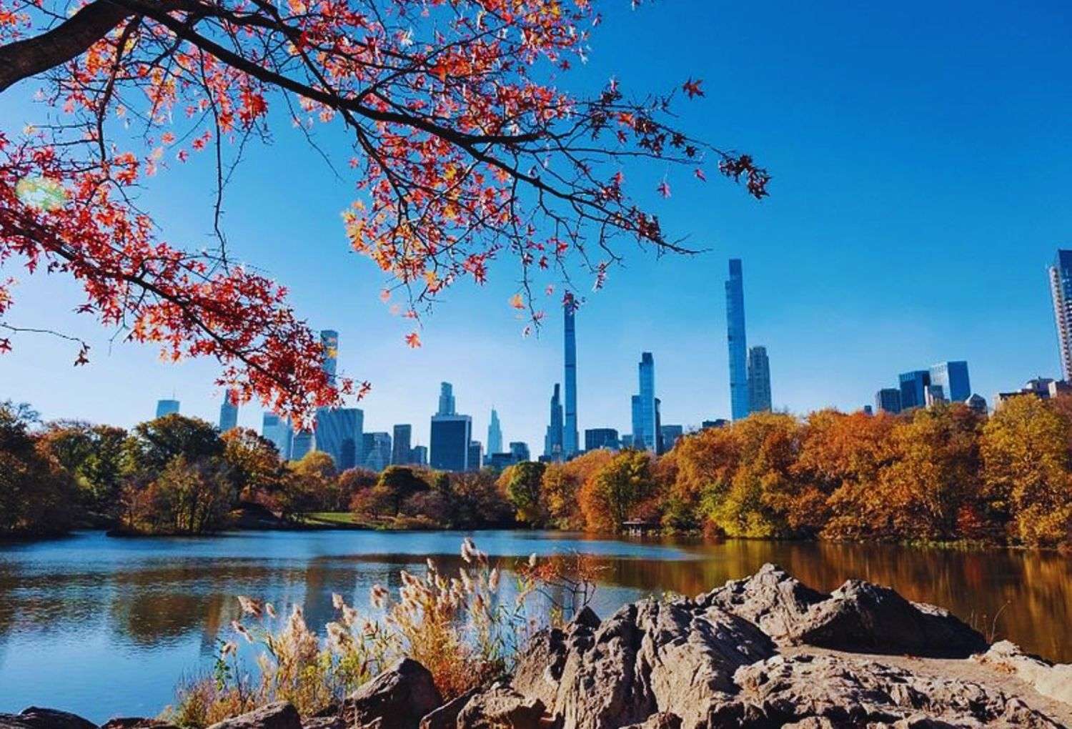 Nueva York