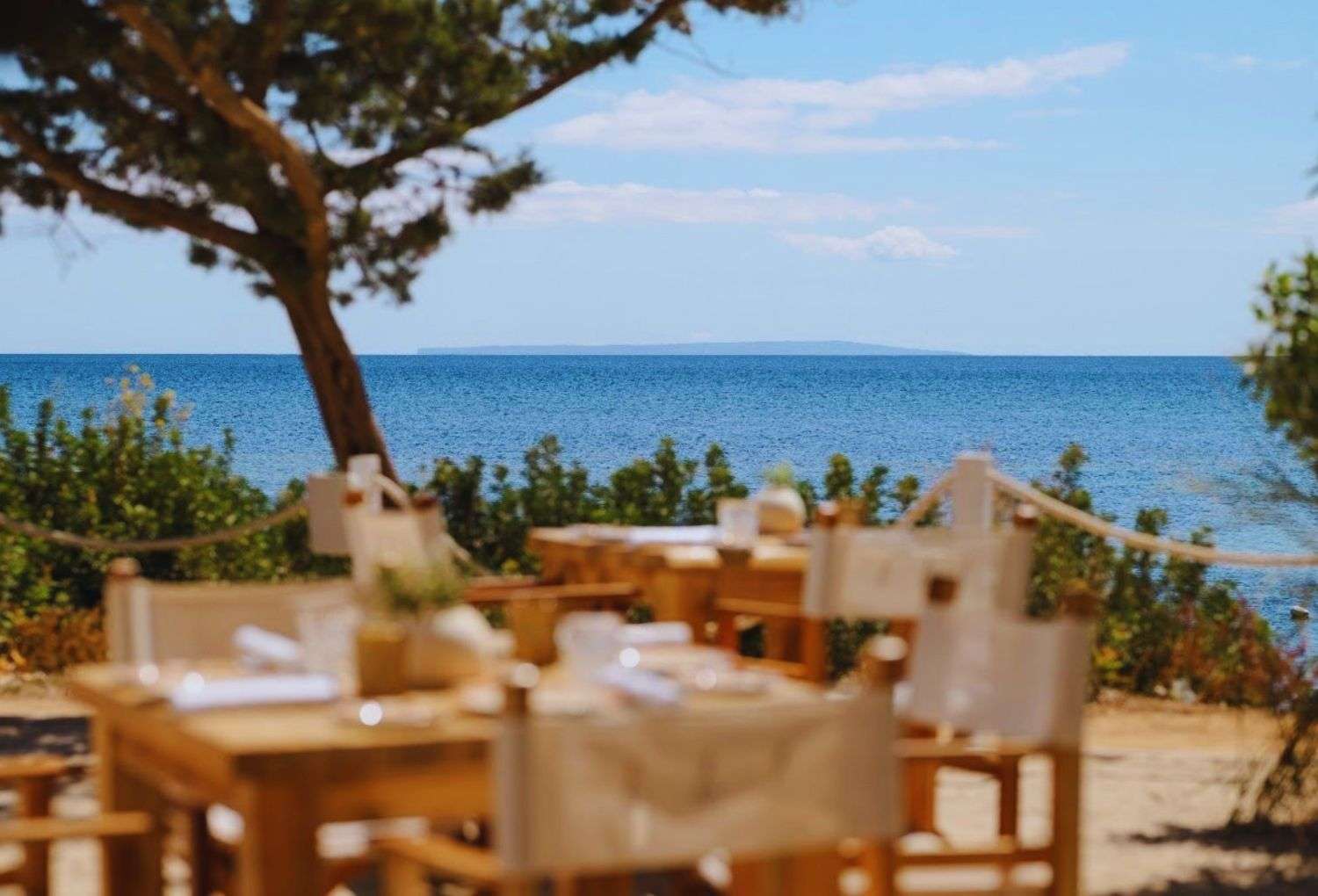 Nikki Beach