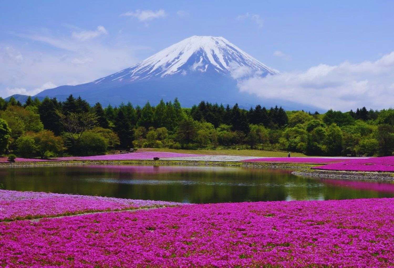 Destino montaña