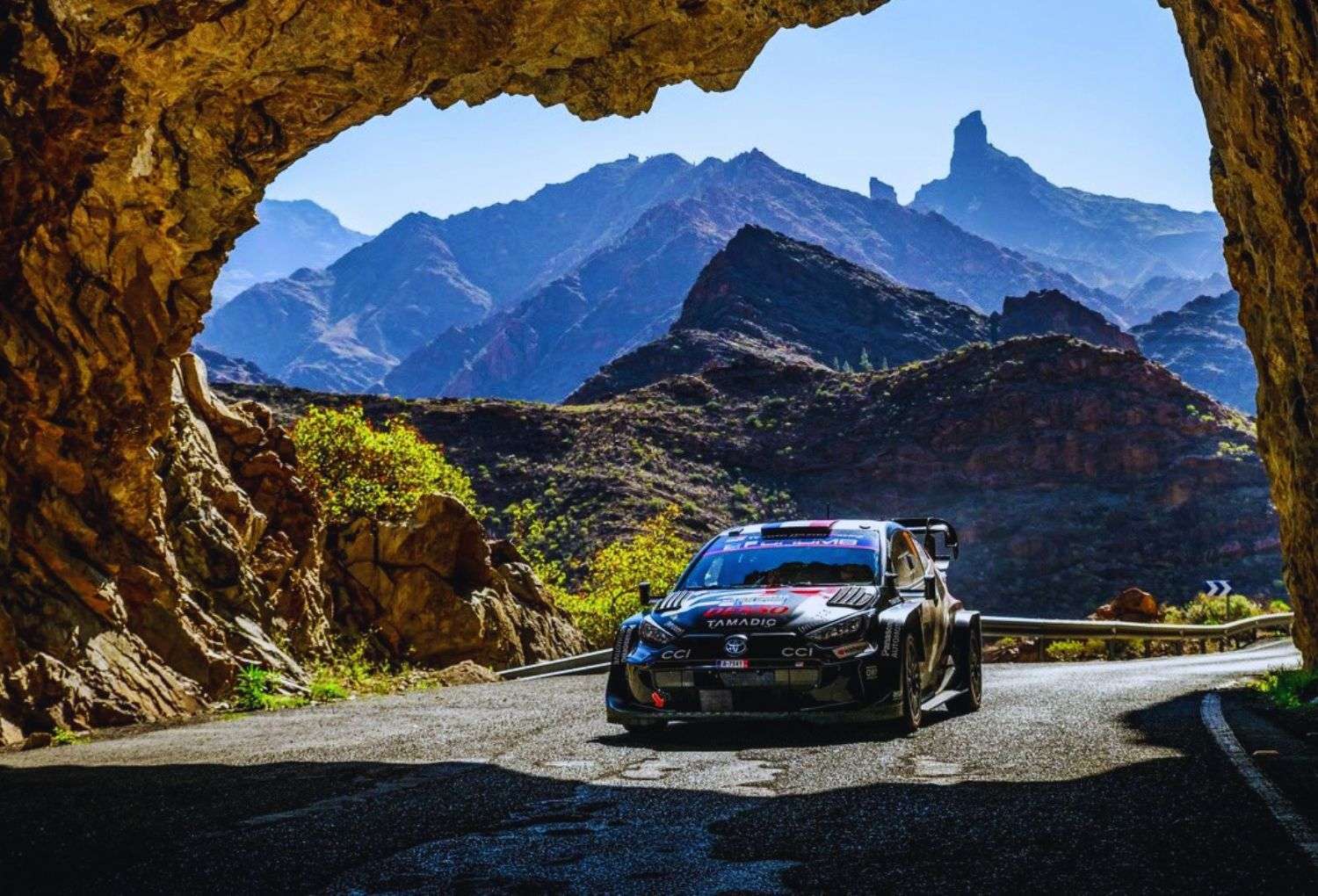 Rally Islas Canarias