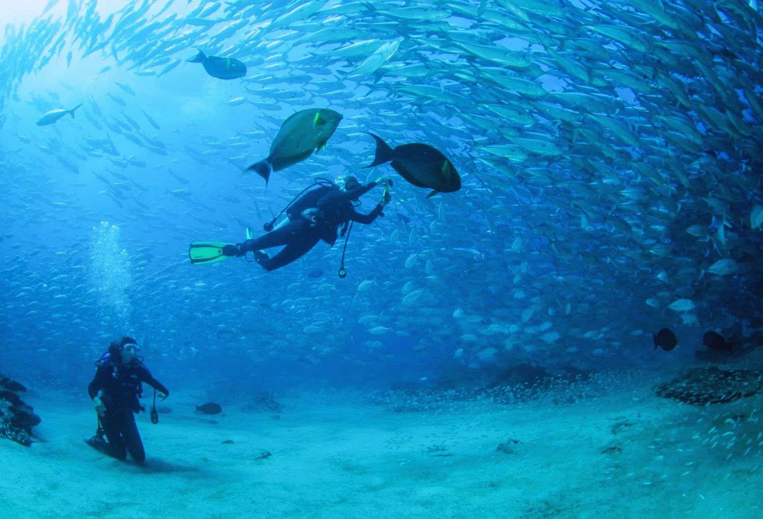 Los Cabos