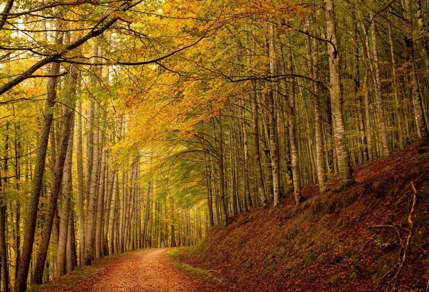 Otoño España